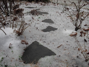 Iced Path