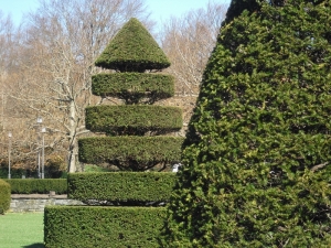 i-topiary
